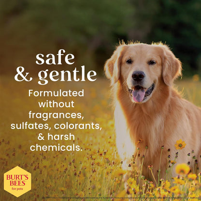 Multipurpose Grooming Wipes | Puppy & Dog Wipes for All Purpose Cleaning & Grooming | Cruelty No, Sulfate, & Paraben No, Ph Balanced for Dogs - 50 Ct Wipes, Puppy Supplies